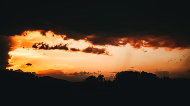 Captivating orange sunset with dramatic dark clouds and silhouetted trees.