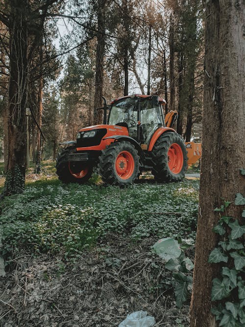 Kostnadsfri bild av skog, traktor, tung utrustning