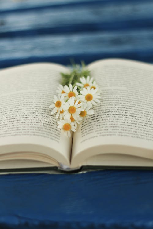 Open textbook with blossoming white flower bouquet with tender petals and pleasant scent on blurred background