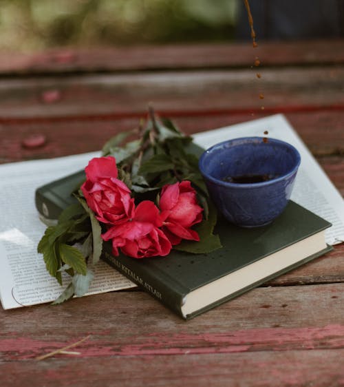 Red Rose on Top of a Book 
