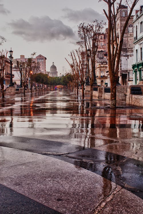 Gratis lagerfoto af Capitol, efter-regn, park