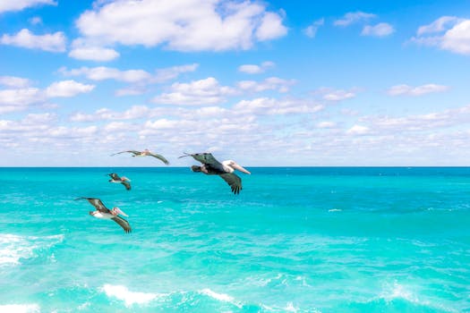 一群鹈鹕优雅地飞翔在明亮的蓝天下，掠过充满活力的碧绿海面