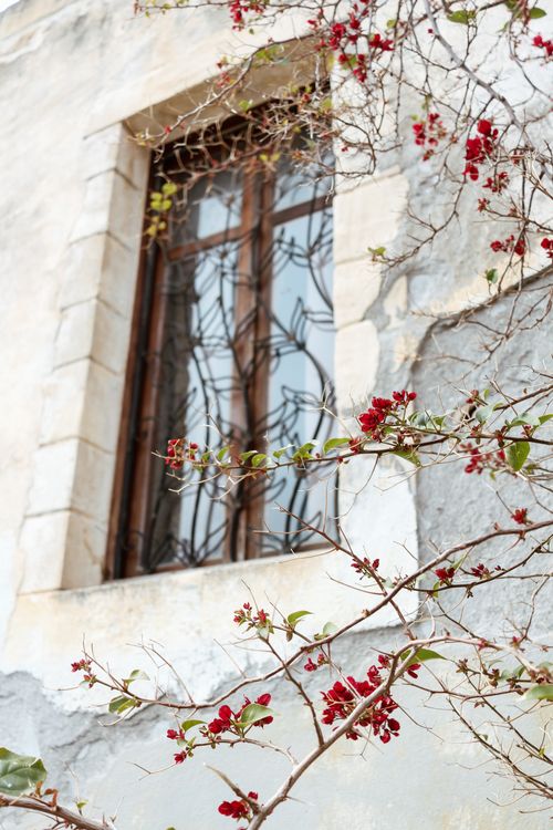 Spring Tree From Window Flowering Tree Near a Window · Free Stock Photo