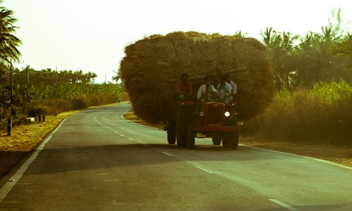 Free stock photo of green, highway, india