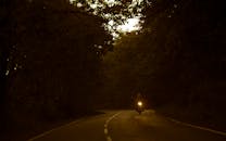 黄昏时分，一辆摩托车孤零零地穿过宁静的林间小道，树木在逆光中静立