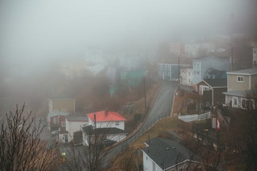 Residential houses near road in foggy weather