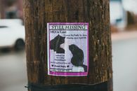 Announcement of missing cat hanging on tree