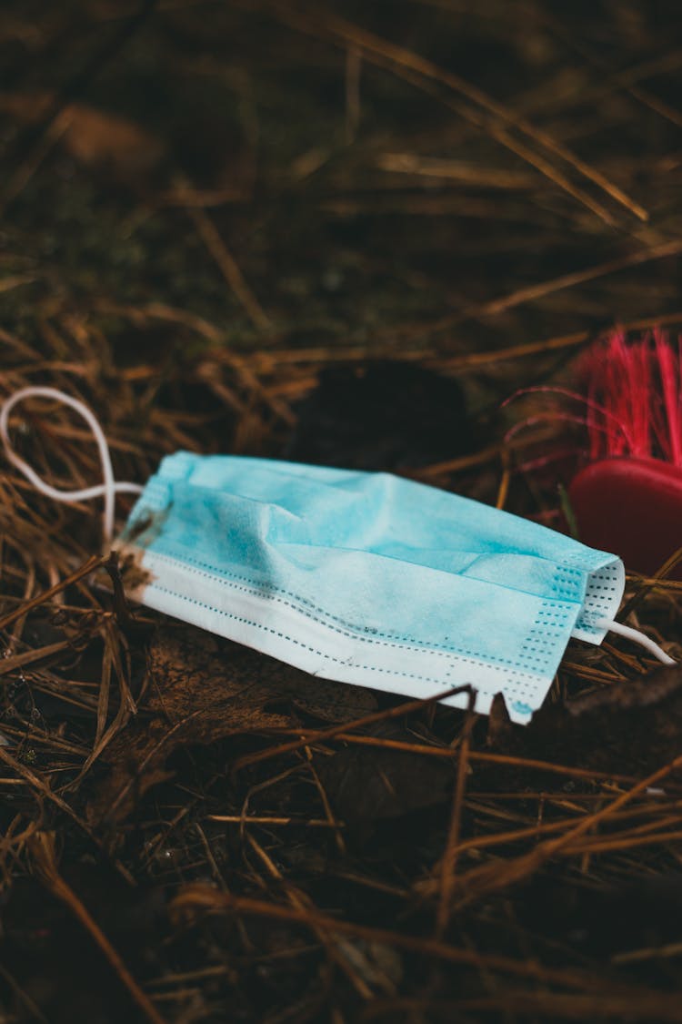 Protective Blue Mask On Withered Grass