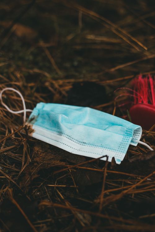 Free From above of used medical mask of blue color placed on dry withered grassy ground Stock Photo
