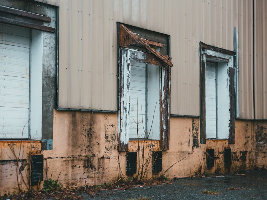 Why is Google+ shut down?