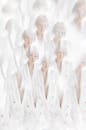 Multiplied Woman in White Suit