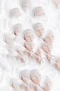 Conceptual Multiple Exposure Composition of an Albino Woman Portrait