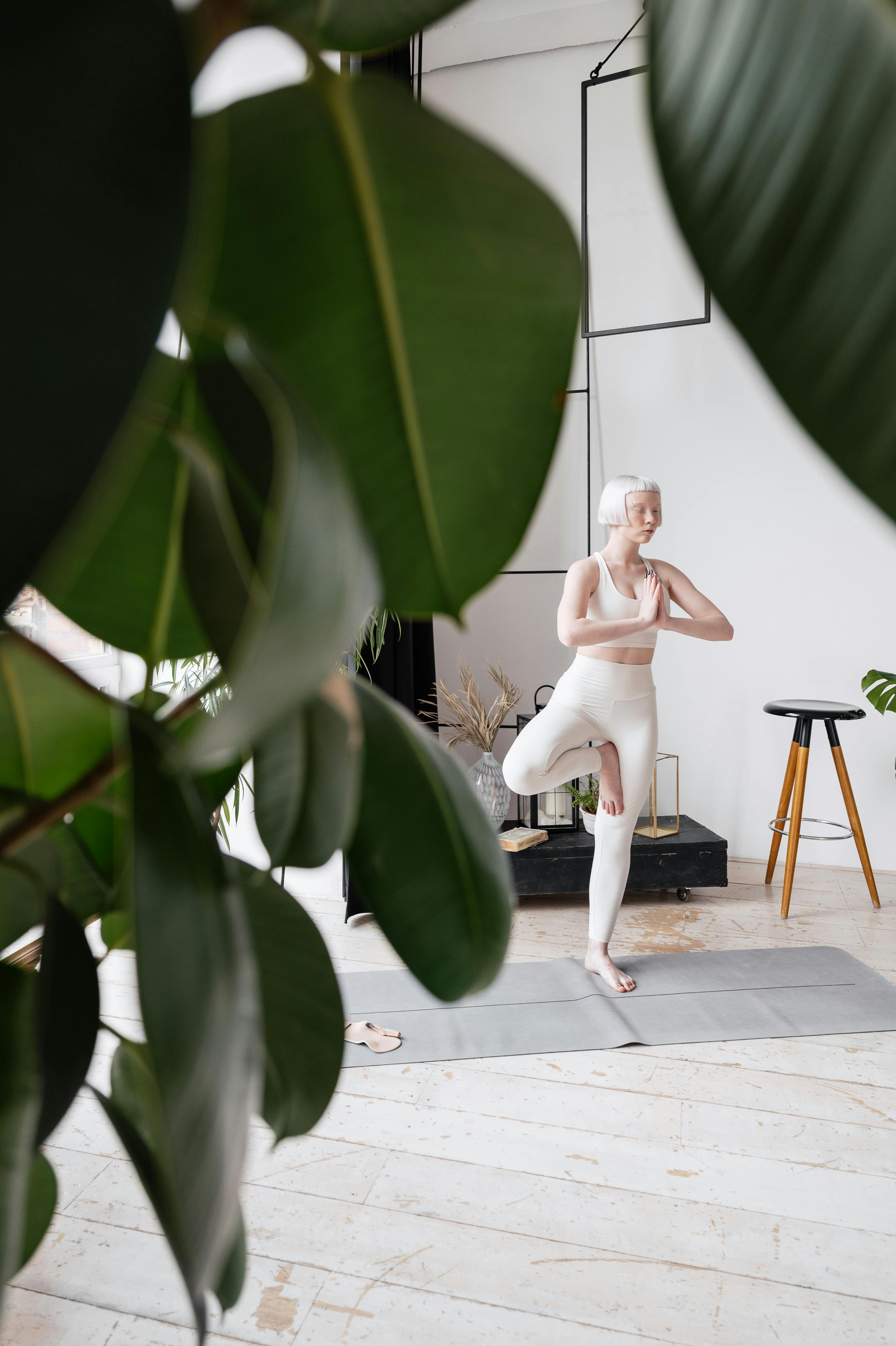 Gratis lagerfoto af afslapning, balance, boligindretning Lagerfoto