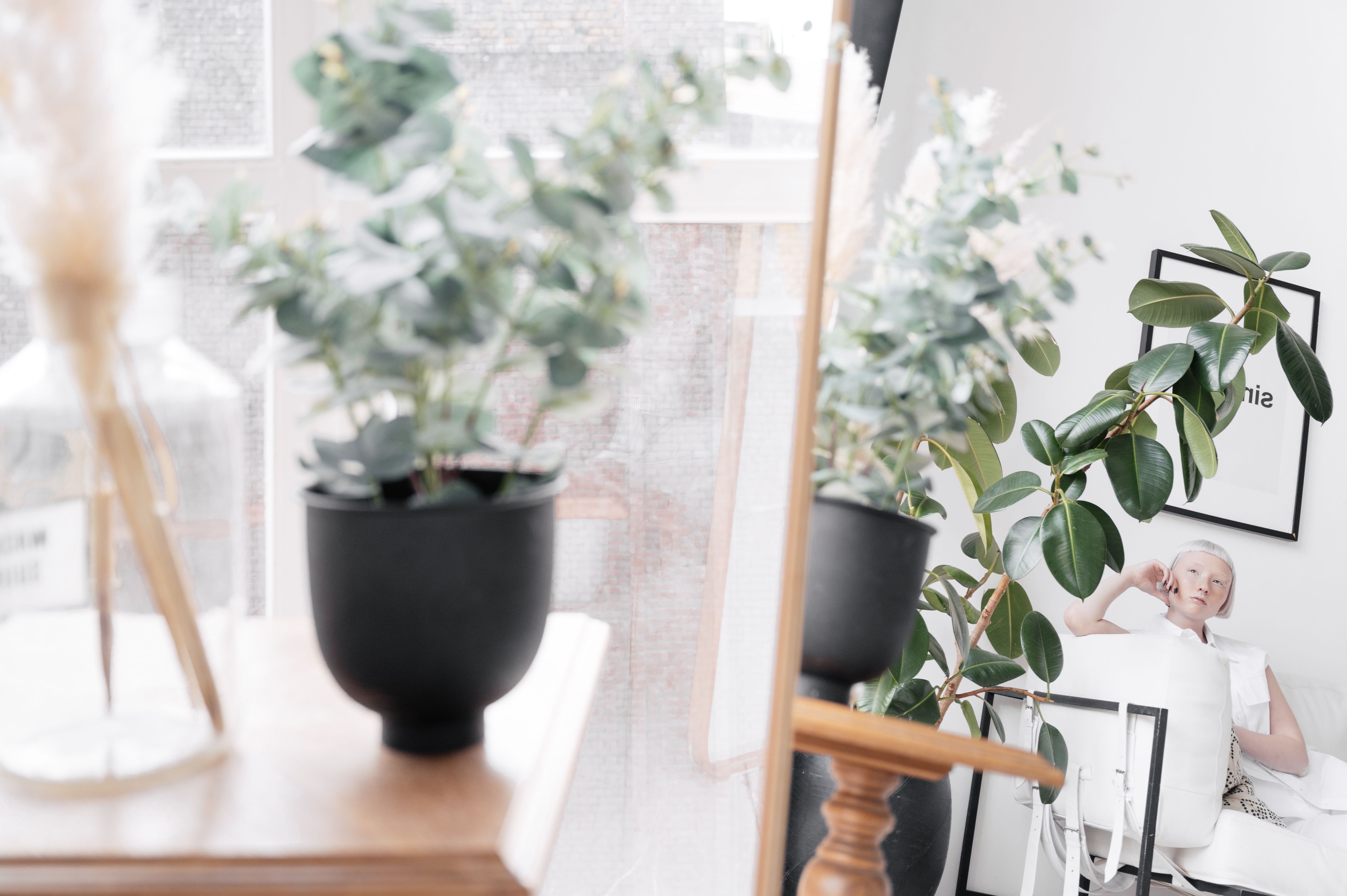 A serene home interior featuring lush houseplants and a relaxed woman sitting on a couch.