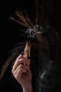 Person Holding Lighted Cigarette Stick
