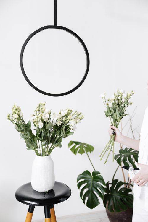 植物用の土と鉢