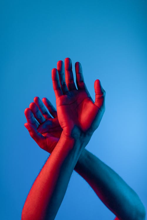 Photo of a Person's Hands