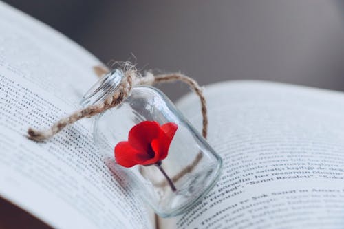 Close-up of a Little Flower in a Tiny Glass Bottle Lying on an Open Book 
