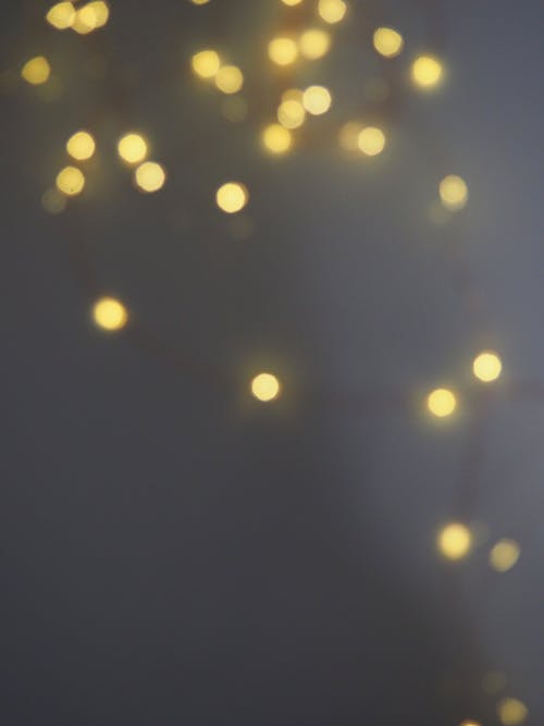 Free stock photo of background, blur, blurred