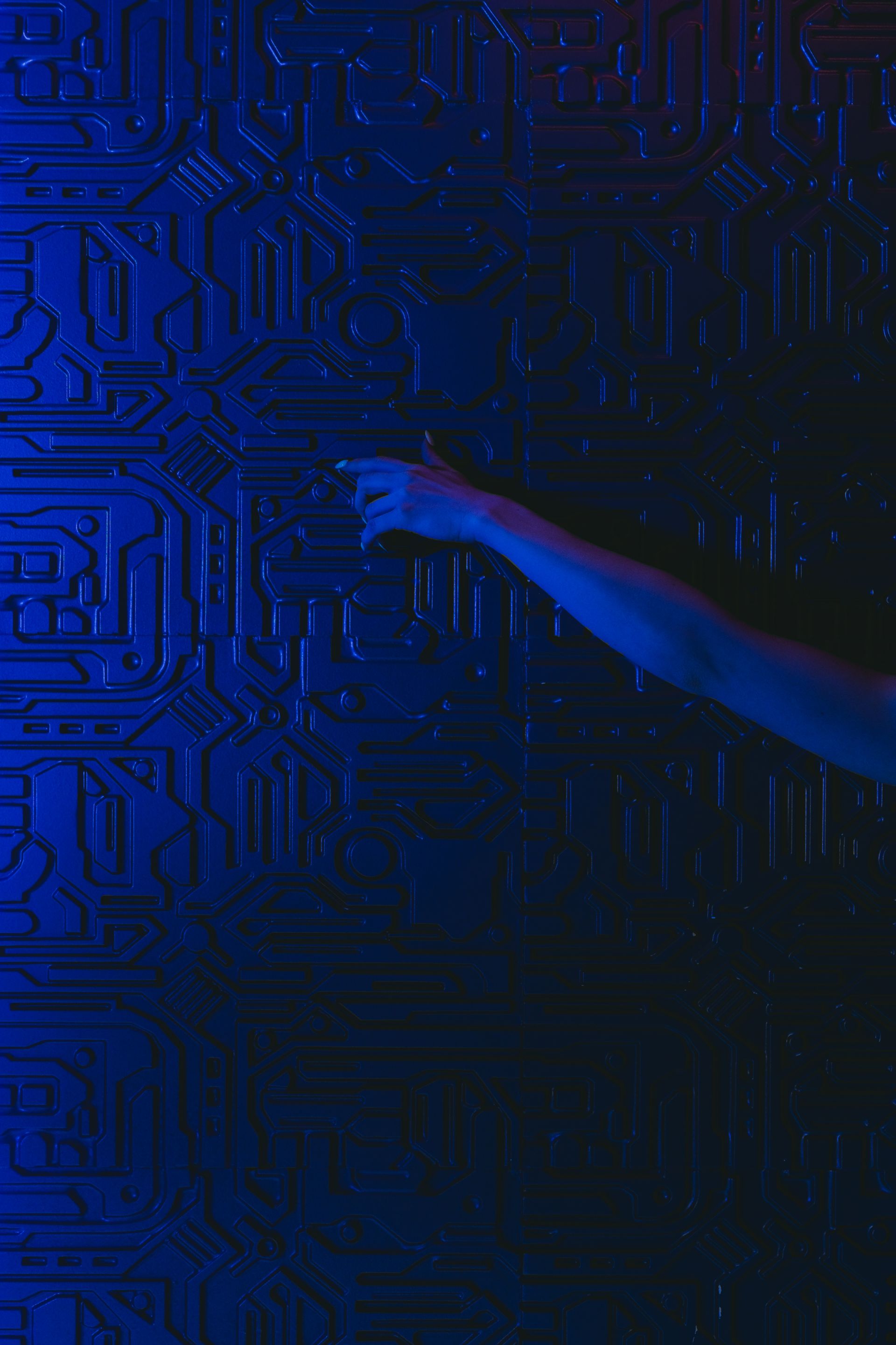 Connect with Myintelia