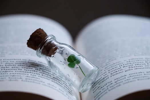 A small clover sealed in a corked glass vial, resting on the pages of an open book.
