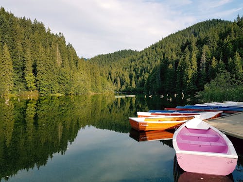 Free Boats On Calm Body Of Water Surrounded By Trees Stock Photo