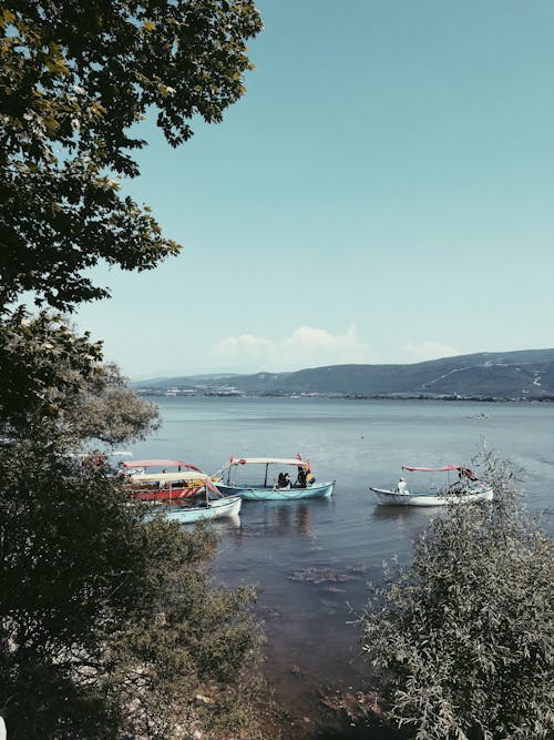 Základová fotografie zdarma na téma čluny, moře, oceán