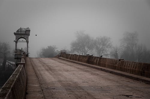 Fotobanka s bezplatnými fotkami na tému cesta, hmla, most