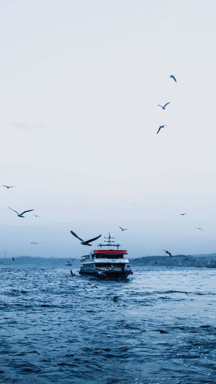 Photo Of Birds Flying Near A Ship