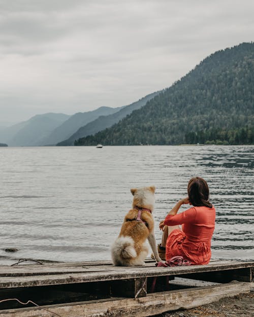 Woman and Her Dog Sitting on a Wooden Pier and Looking at the View of a Lake and Mountains 