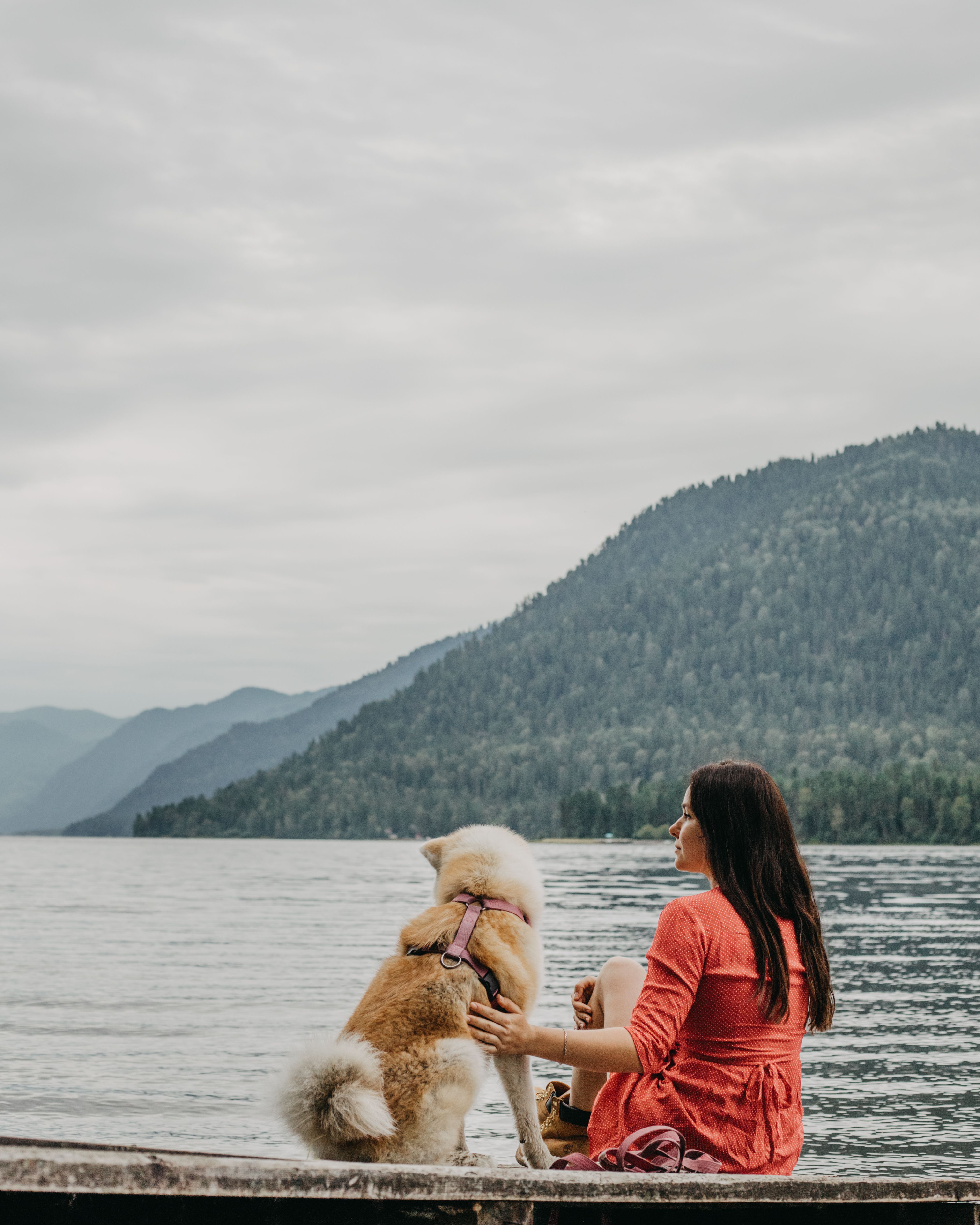 A woman and her Samoyed dog sit by a tranquil lake with mountains in the background, embracing nature's beauty.