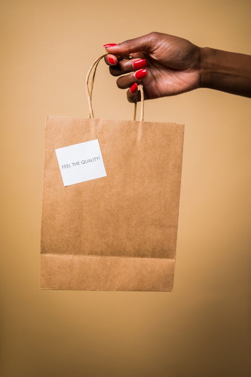 Woman Hand Holding Paper Bag on Studio Background