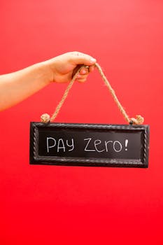 A close-up of a hand holding a small sign with 'PAY ZERO' written on it against a vibrant red background.