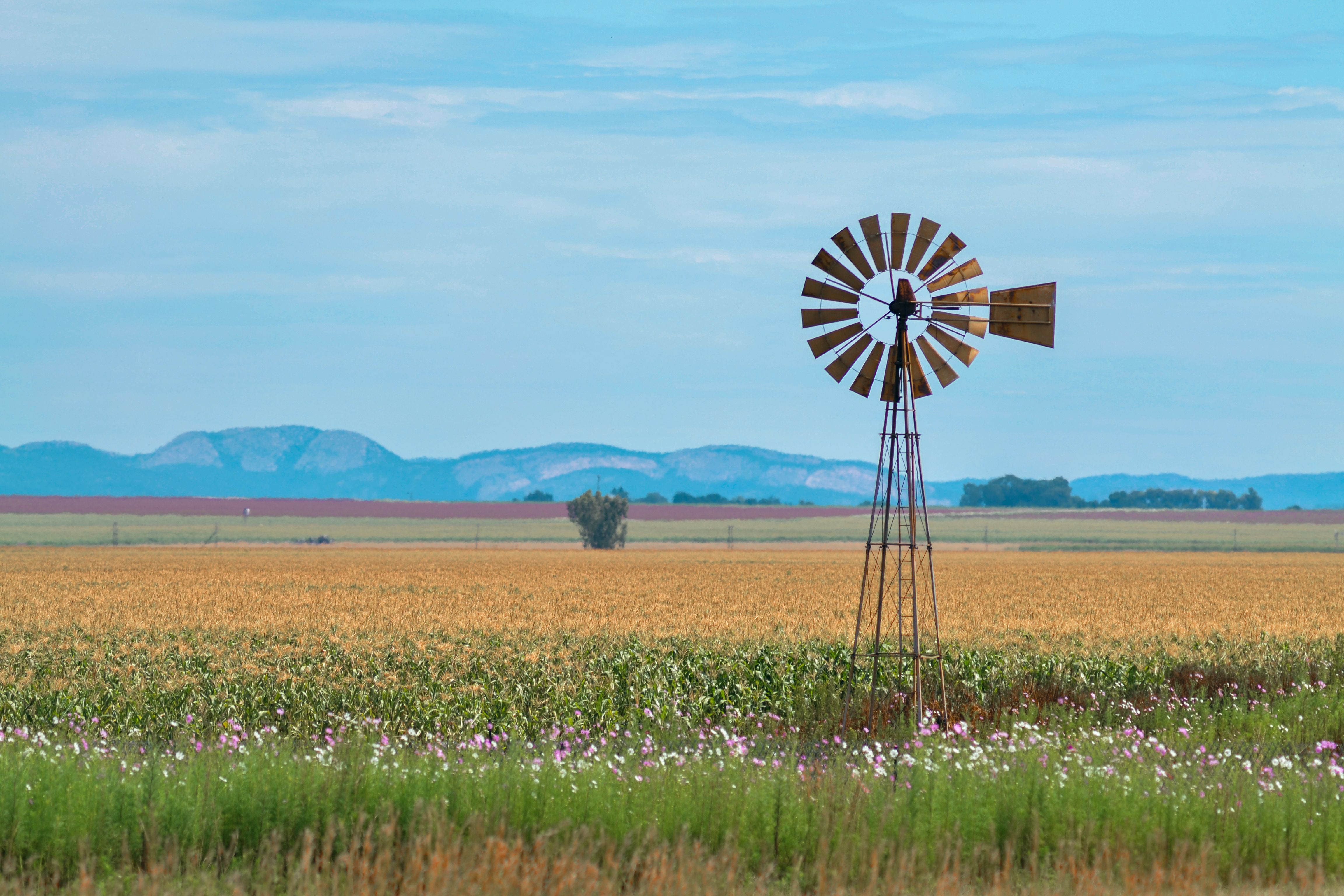 Boom-Bio materials development and manufacturing in South Africa