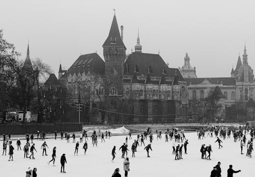A Grayscale of People Ice Skating