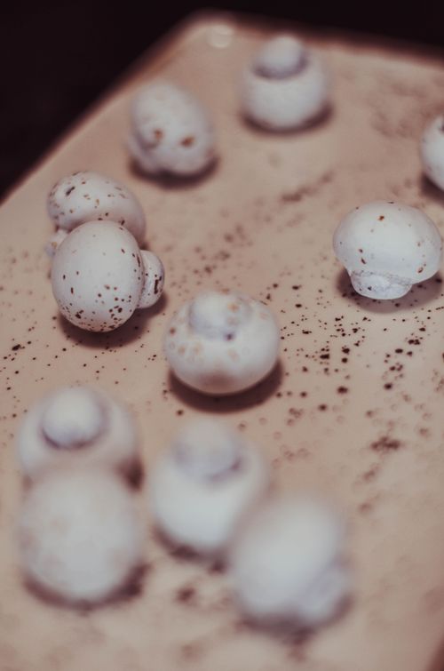 Free Fresh white mushrooms scattered on a speckled rustic surface, creating a natural and organic feel. Stock Photo