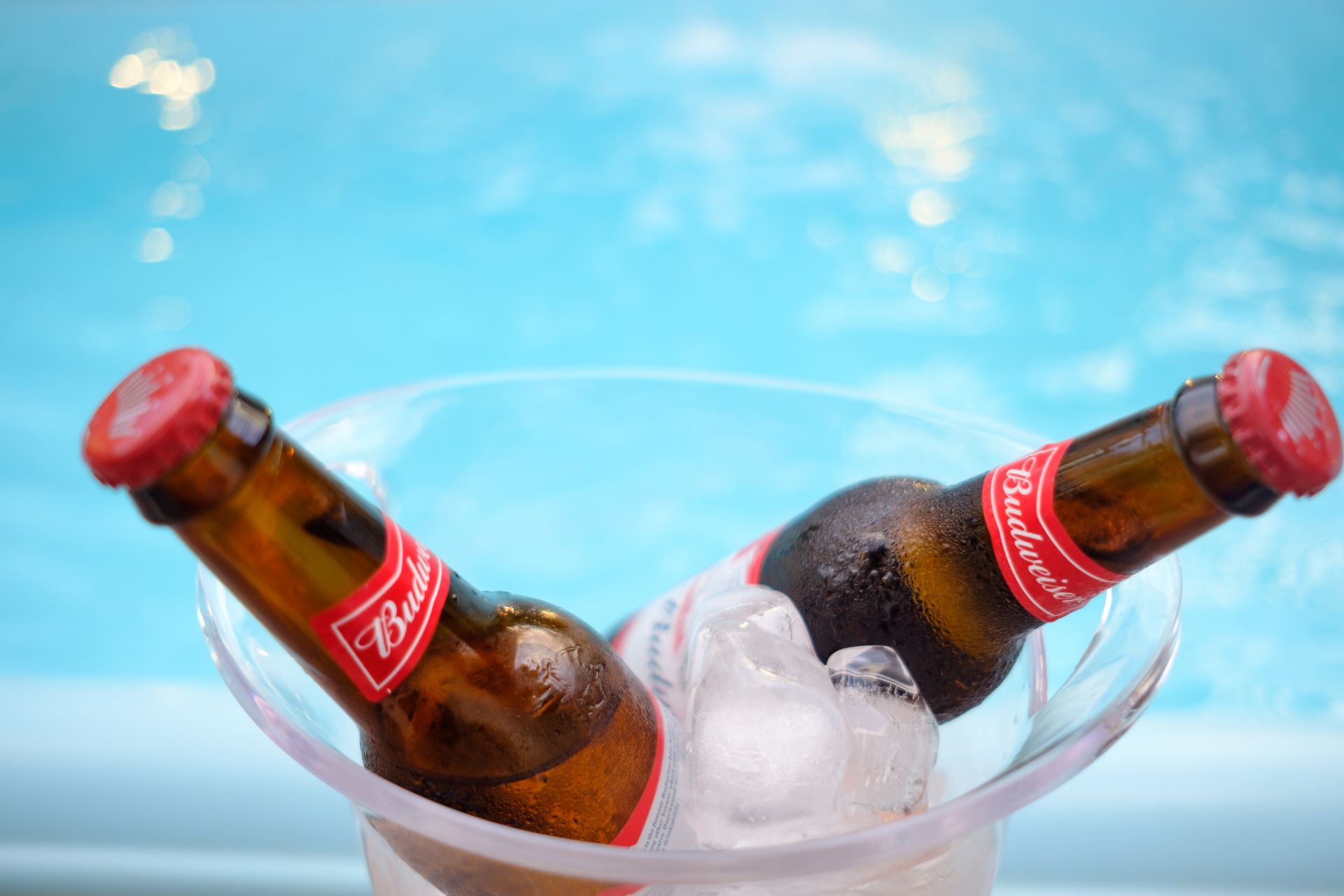 Chilled Budweiser bottles rest in ice near a pool for a refreshing summer day.