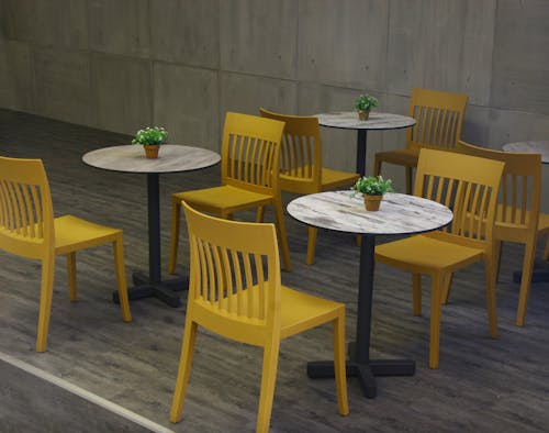 Comfortable bright yellow chairs near white round tables with plants in pots in empty modern cafe
