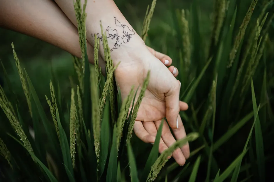 Tatouage éphémère fine line en contours de carte, du poignet à l'avant-bras
