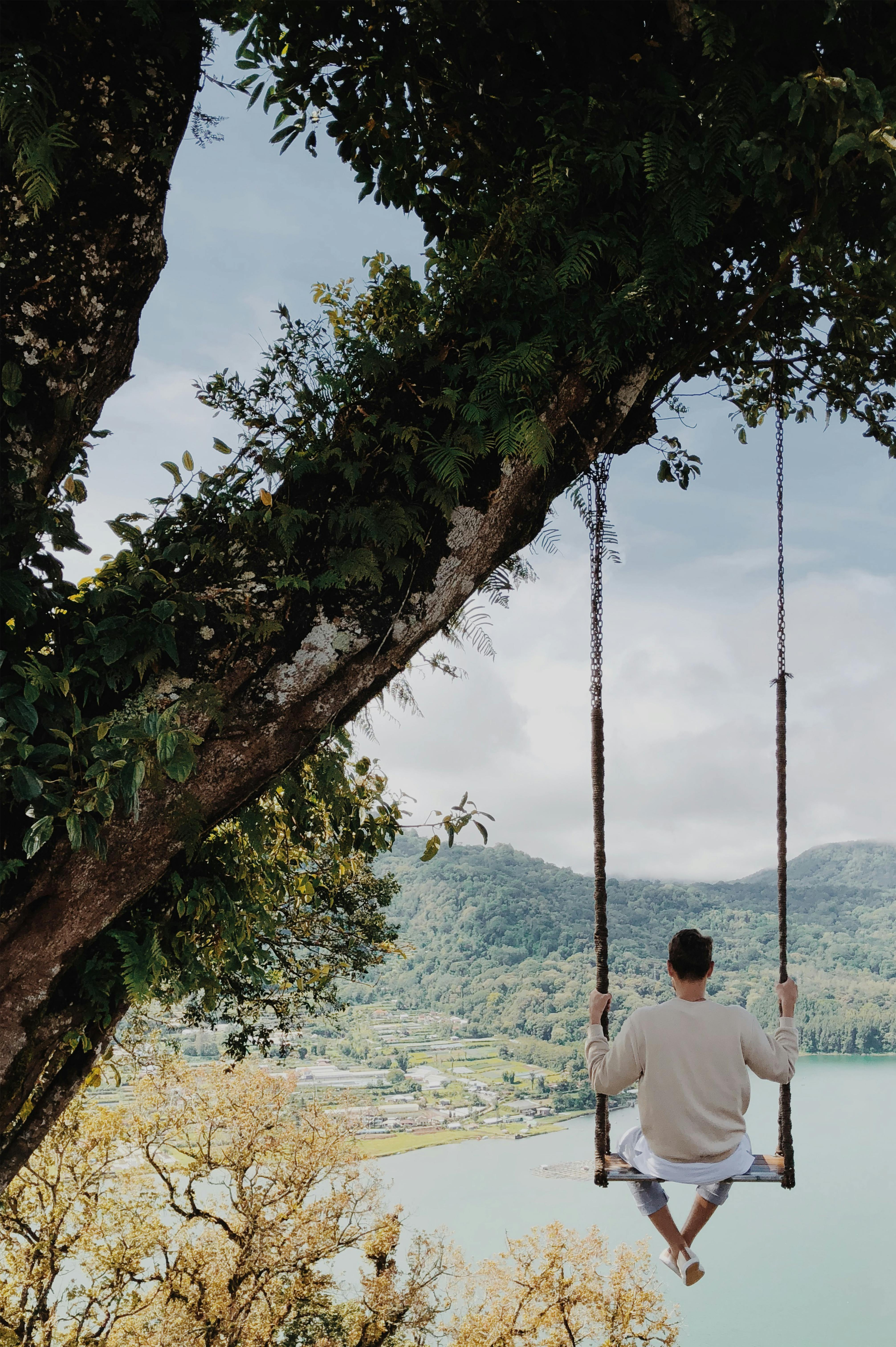 back view of a person sitting on a swing under the tree