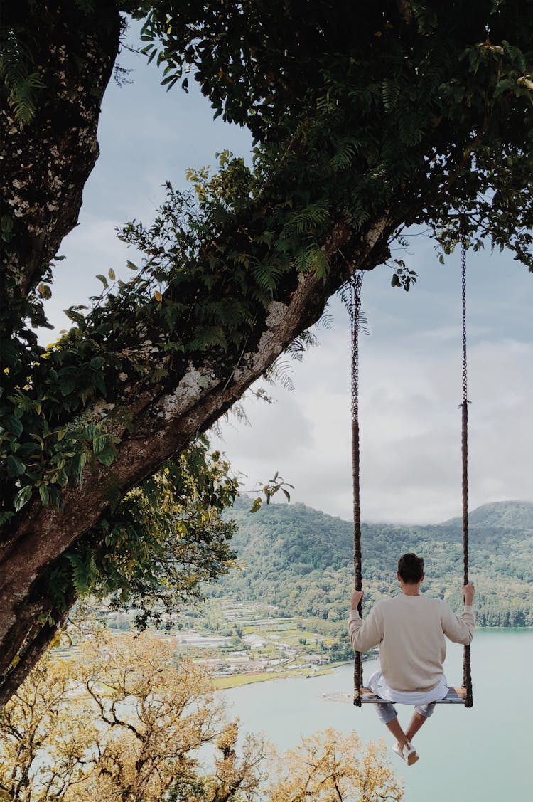 Back View Of A Person Sitting On A Swing Under The Tree