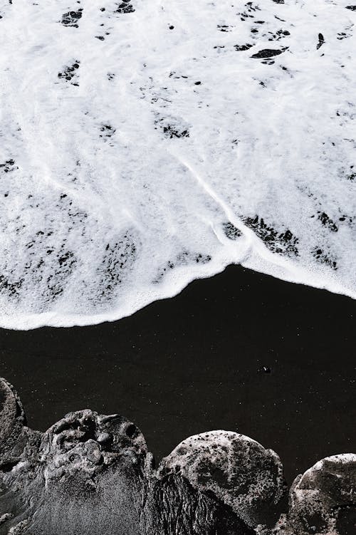 Darmowe zdjęcie z galerii z brzeg morza, czarny i biały, monochromatyczny