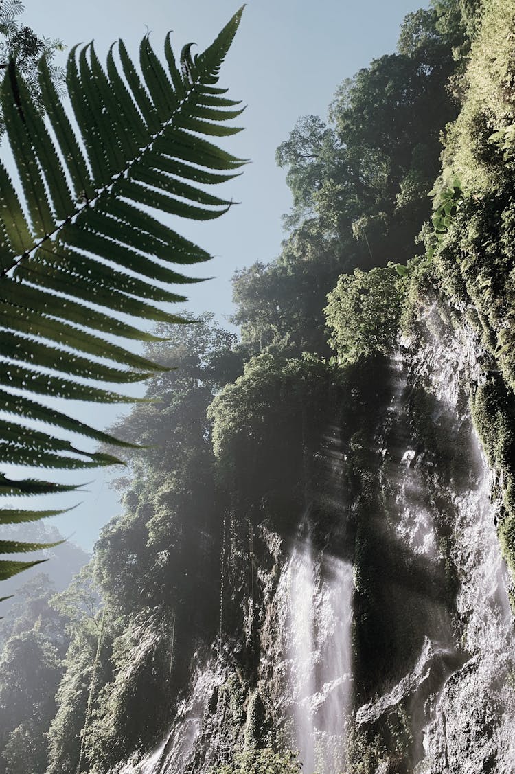 Waterfall In Tropical Mountain Landscape