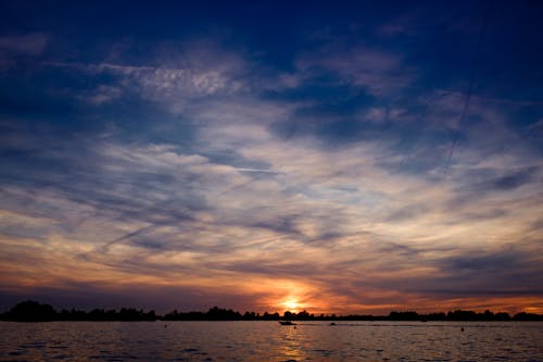 Silhouette of Trees Near Body of Water