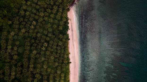 Stunning aerial shot of a tropical beach in Indonesia with lush palm trees and clear ocean water.