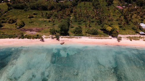 Foto d'estoc gratuïta de arbres verds, cos d'aigua, foto des d'un dron