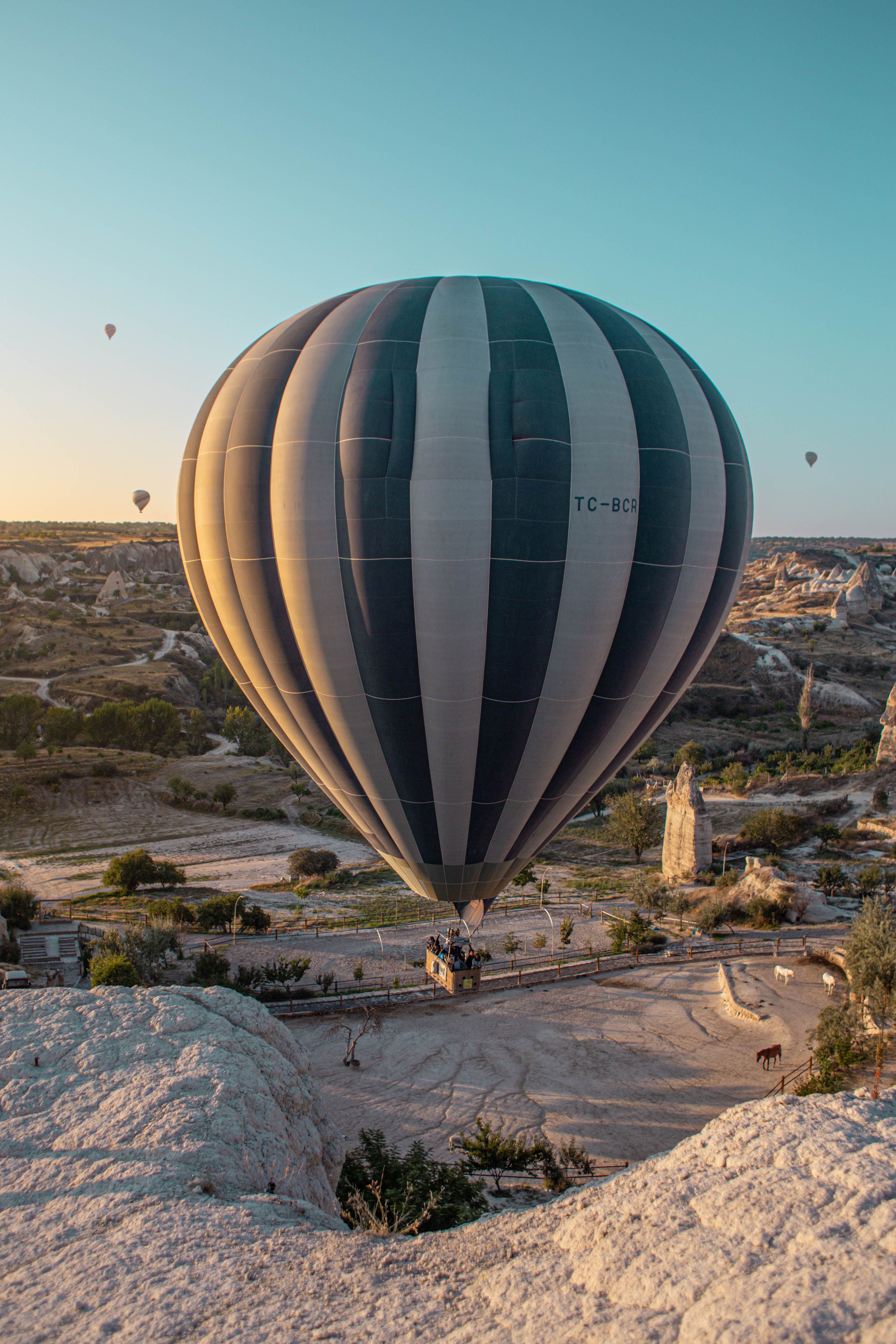 Blue and White Hot Air Balloon · Free Stock Photo
