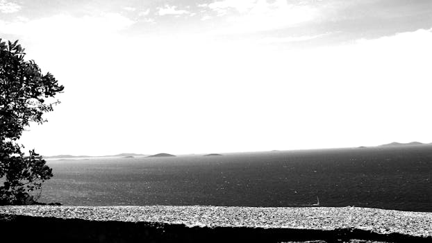 在克罗地亚穆尔特拍摄的亚得里亚海黑白景观，突出了岛屿与宁静的海洋景色