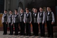Free stock photo of adult, band, boychoir