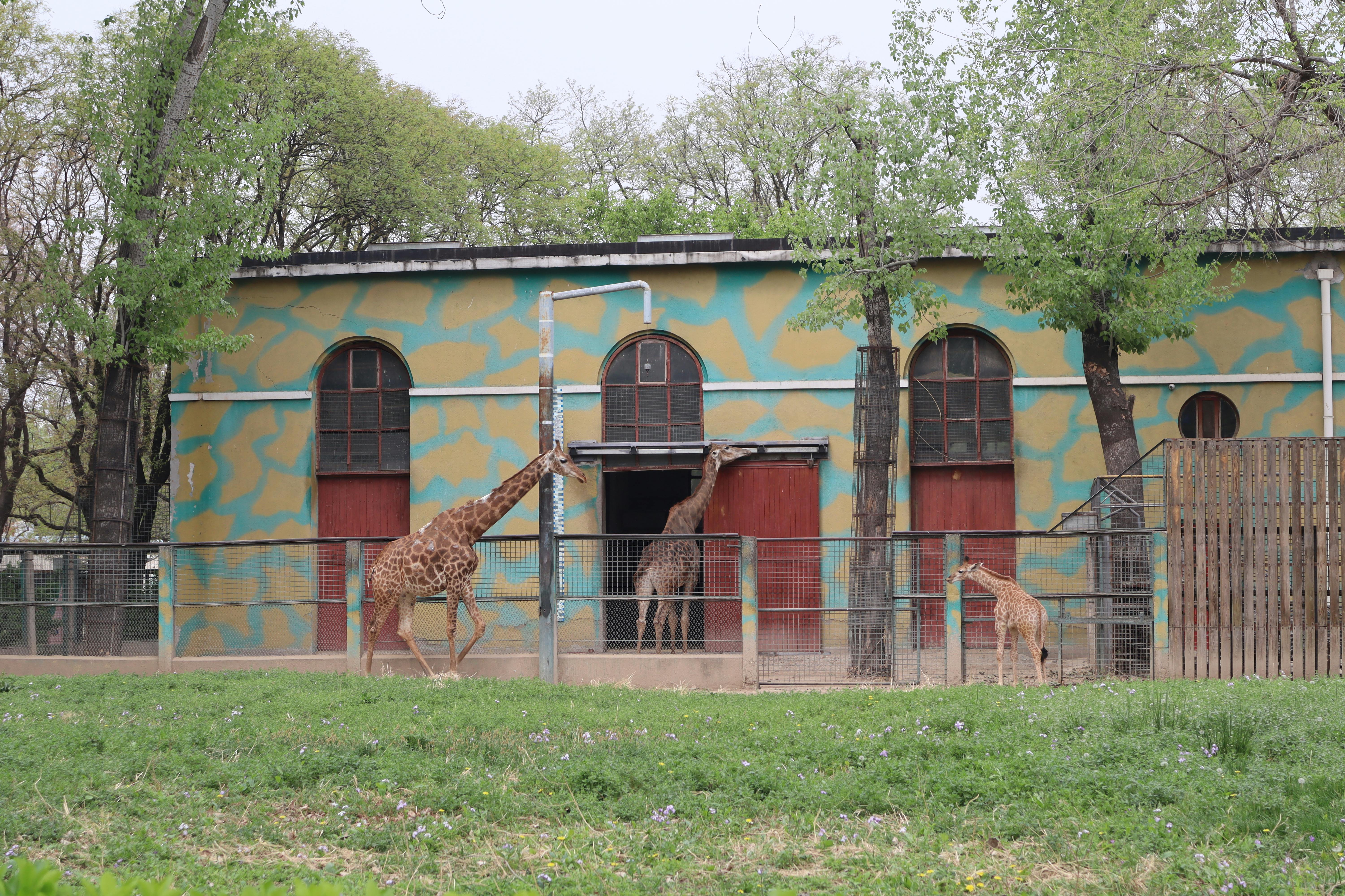 金融市场图表和数据